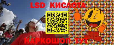 a pvp Гусев