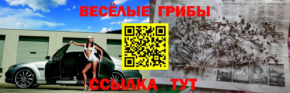 цена   Псилоцибиновые грибы Psilocybine cubensis  Вход с VPN  Верхняя Салда 